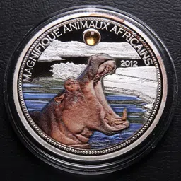 vkcoins Niger 1000 Francs 2012 - Hippopotamus coloured with capsule Modern Coin Collection-picture-44