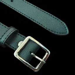 zeepzone Women Formal, Casual, Party, Evening Black Artificial Leather Belt-picture-16