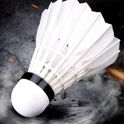 sai mart Feather Shuttlecock Pack of 10 | Feather Shuttle - White image 4