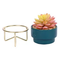 Multicolour Polyurethane Artificial Succculent Plant in Ceramic Pot with metal Stand by Fourwalls image 2