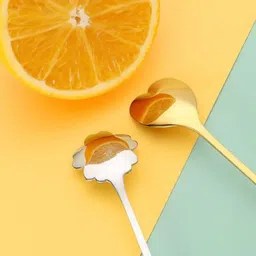 fexmy Desert Spoon 4Pcs Set Steel Ice-cream Spoon Set image 4