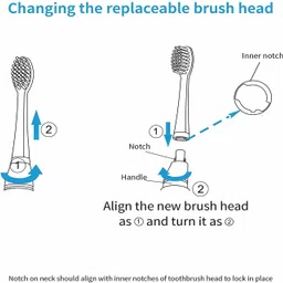 wurze 1902 Sonic Action Toothbrush for Healthy Gums Clean Teeth Efficient Plaque Removal | 22,000 Strokes Per Minute | Battery Powered | Replacement Brush Heads Provided | IPX7 Waterproof Electric Toothbrush image 5