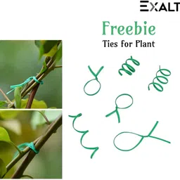 exalt 46 cm Iron Garden Stake image 4