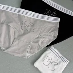 houseofcommon Pack of 3 Women Bikini Multicolor Panty image 1