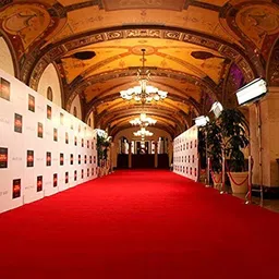 anabiacarpet Maroon Acrylic Carpet image 1