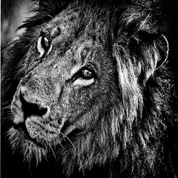 PRINTIFY Compatible Epson T664 L360 , L361, L365, L380 Black - Twin Pack Ink Bottle Black - Twin Pack Ink Bottle image 2