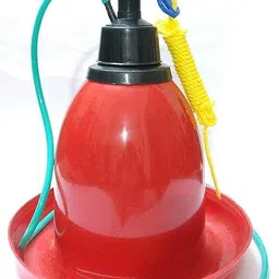 praish Advanced Poultry Equipment Automatic Jumbo Drinker to Mini Poultry Drinker Ground Bird Feeder-picture-10