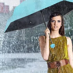 sbts UNQIUE SHAPED UMBRELLA_mODEL_1029 Umbrella image 3