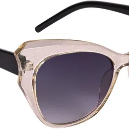 aislin UV Protection, Gradient Cat-eye, Butterfly Sunglasses (56)-picture-17