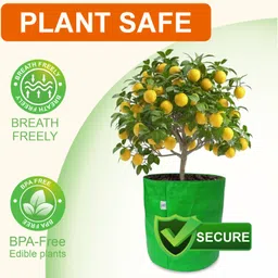 india green innovative 18x18 Premium Quality Grow Bags Grow Bag image 4