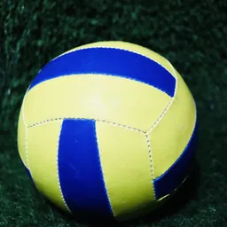 dss Limited Edition Hand Stitched Volleyball for Men & Women Volleyball - Size: 4 image 4