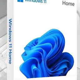 MICROSOFT Windows 11 Home_18 1 User / 1 PC Lifetime Validity Retail License 32 /64 Bit (Flash Drive)-picture-40