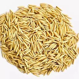 fuegoasis RICE PADDY SEED Seed image 1