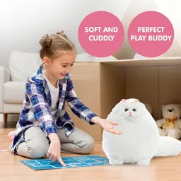 sonal soft toys Combo Soft Toy persian cat and Rattel Ball 12cm - 30 cm image 3