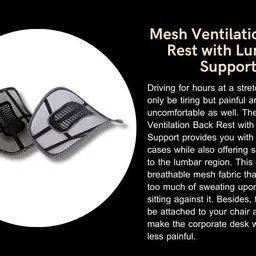 vruti Back Lumbar Support Chairs for Office Chair Back / Lumbar Support image 2