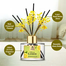 the aroma factory Citrus Lemon Diffuser Set image 3