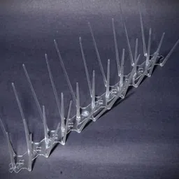 geenova Bird Spike image 2