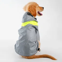 barks & wags Raincoat for Cat, Dog image 2