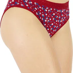 ladyland Pack of 3 Women Hipster Multicolor Panty image 5