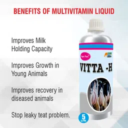 super pure Vitta-H | Multivitamin & Herbal Health Tonic for Cows, Buffaloes, Goats, Sheep Pet Health Supplements image 2