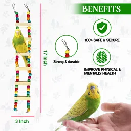 congo natural parrot treat Set of 3 Colored Ladder, Hanging Spiral and Chew Toy Combo Pack Wooden Chew Toy, Training Aid For Bird image 2