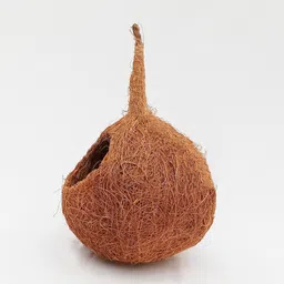 goodselite exports and imports VI126 Bird House image 5