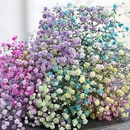 bolt bee Natural Dried Flowers Mix Multicolor Eucalyptus Artificial Flower with Pot image 2