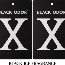 black odor Black-Ice Car Freshener Blocks image 1