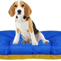 Reversible New Design Very Soft Cushion, Pillow For Pet, Dog And Cat L Pet Bed-image-8