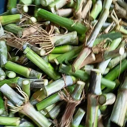 seedito Napier grass stick for cow/napier grass for planting Seed Seed-picture-18