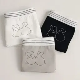 saffiraa Pack of 3 Women Hipster Multicolor Panty image 1